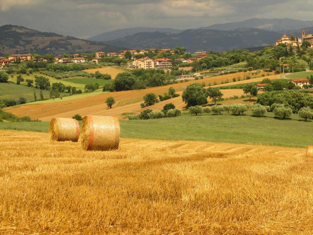 Agriturismo La Ginestrella Civitella D'Arna Exterior foto