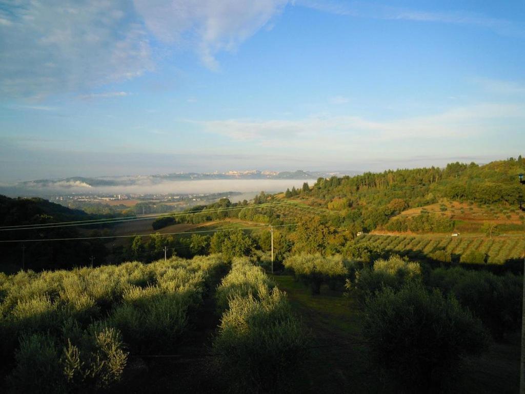 Agriturismo La Ginestrella Civitella D'Arna Exterior foto